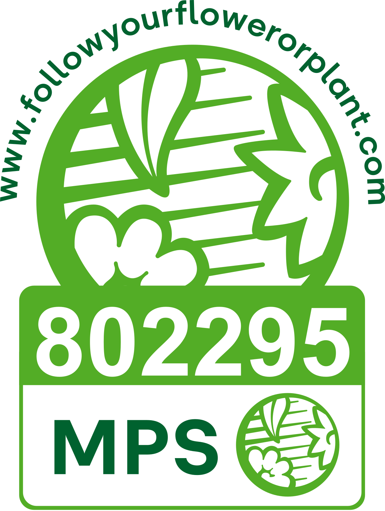 MPS 802295 certificate